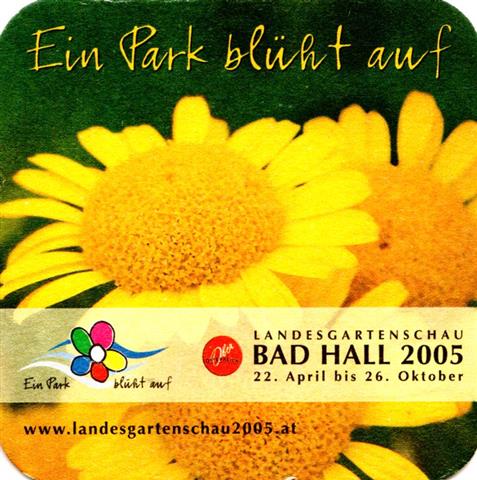 neukirchen v o-a zipfer heller 1b (quad185-bad hall 2005)